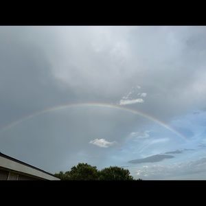 Meet your Posher, Shelby